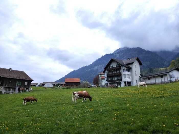 alojamiento con encanto en Suiza