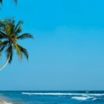 ¿Qué hacer en tu viaje a Sri Lanka? 9 excursiones indispensables