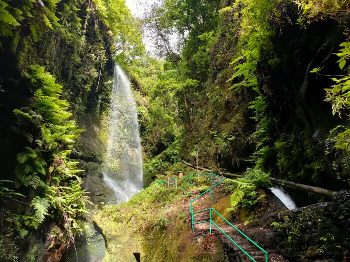 que ver en la palma